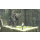 Sony The Last Guardian - 339120 - zdjęcie 2